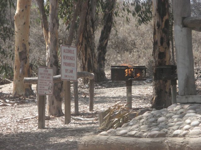 Flaming grill in a park under a grove of dry Eucalyptus trees